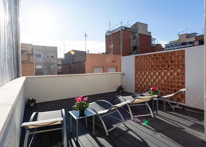 8 Lacus Duplex *