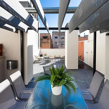 8 Lacus Duplex